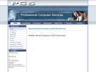 Professional Computer Services