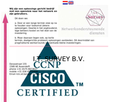 I.t. Survey B.v.