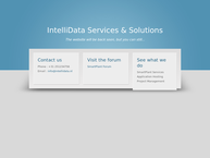 Intellidata Services & Solutions