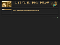 Little Big Bear