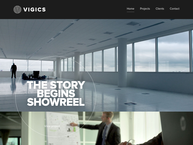 Website van Vigics 