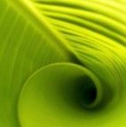 Color Art, Creative Style Design