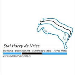 Stal Harry de Vries