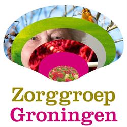 Stichting Zorggroep Groningen