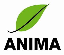 Anima Trading