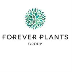 Ficus Forever Sales B.v.
