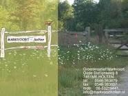 Groen Kreatief Markvoort