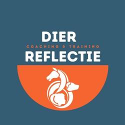 Reflections by Minke van den Bergh