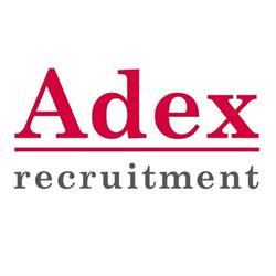 Adex Recruitment Service
