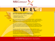 NRG Consult