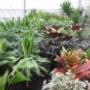 Rutgers Tuincentrum Fa W