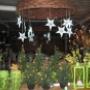 Rutgers Tuincentrum Fa W