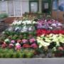 Rutgers Tuincentrum Fa W