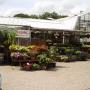 Rutgers Tuincentrum Fa W