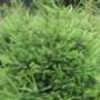 Rutgers Tuincentrum Fa W