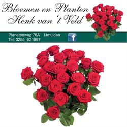 Bloemen- en Plantenshop Henk van 't Veld