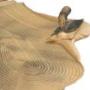 Coatings and Adhesives