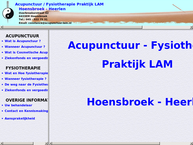 Fysiotherapie/acupunctuur Lam