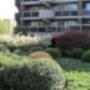 Gaag Hoveniersbedrijf G A & A vd
