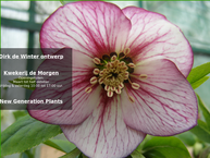 Dirk de Winter Tuindesign