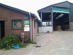 Lemlijn Landbouwbedrijf