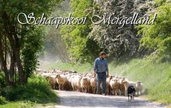 VOF Schaapskooi Mergelland