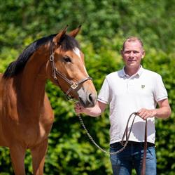 Paardenhandel Frencken