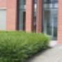 Roer-Mondzorg L Horrichs