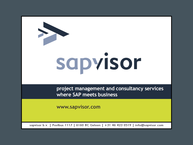 Sapvisor BV