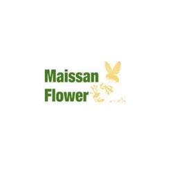 V.o.f. Maissan Flower & Partners