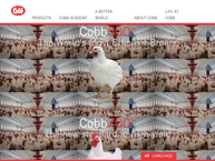 Cobb Europe Bv