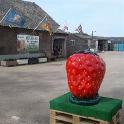 J. VD Beuken