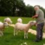 Boerderij Vorster Hand
