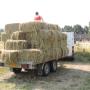 Boerderij Vorster Hand