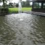 Hoveniersbedrijf Plantencentrum Velden Van der