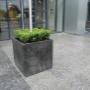 Hoveniersbedrijf Plantencentrum Velden Van der