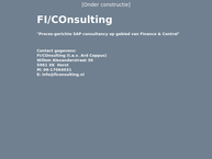 FI/COnsulting