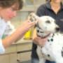 Gezondheidscheck & vaccinatie