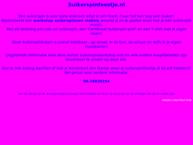 www.suikerspinfeestje.nl