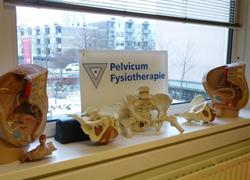 Pelvicum Fysiotherapie