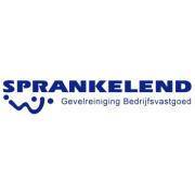 SPRANKELEND - Gevelreiniging