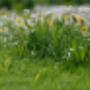 Rienties Tuinmachines