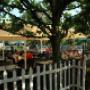 Restaurant en Partycentrum De Turfhoeve BV