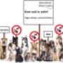 Peel en Maas dierenkliniek