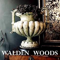 Walden Woods