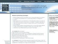 Website van Working Strategies 