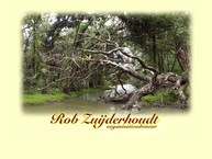 Rob Zuijderhoudt Organisatie-adviseur