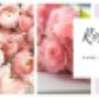 Rose Mary Natuurlijke Huidverzorging