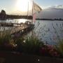 Abrona Robberse Eiland vergaderruimte en botenverhuur