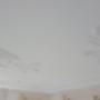 Nieuw geornamenteerd plafond